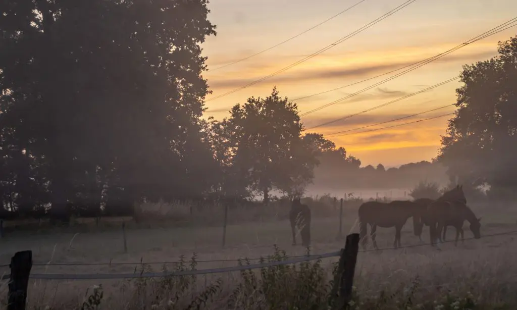Morgendämmerung