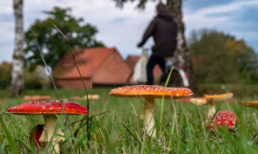 Am Rande des Eselsweges